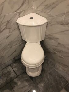 Toilet drain unclog